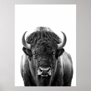 Bison Buffalo Modern Portrait black white   Poster