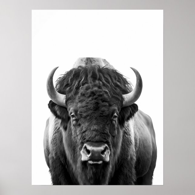 Bison Buffalo Modern Portrait black white   Poster (Front)