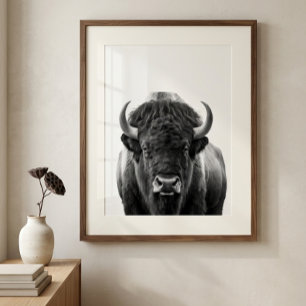 Bison Buffalo Modern Portrait black white   Poster