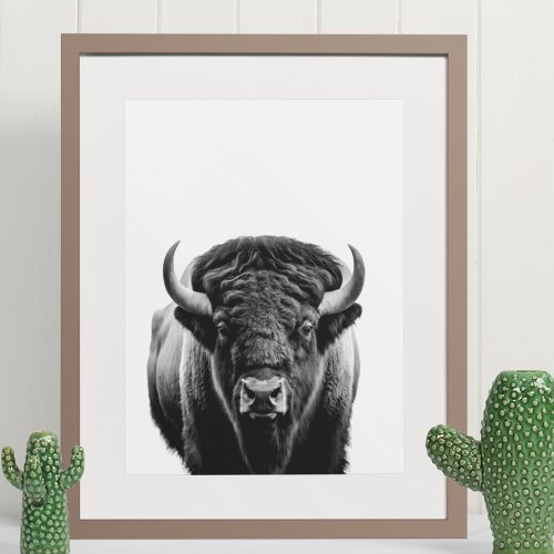 Bison Buffalo Modern Portrait black white   Poster