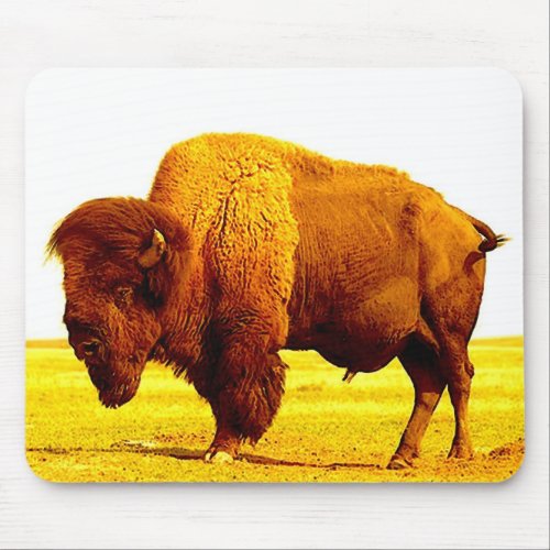 Bison  Buffalo Mouse Pad