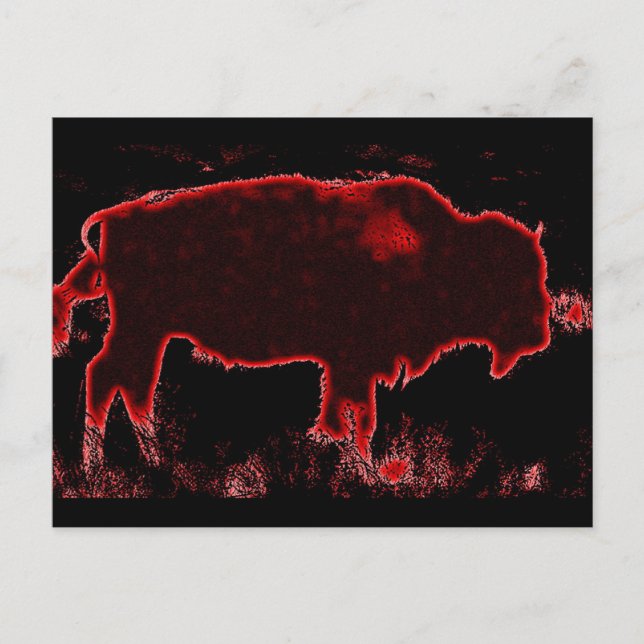 Bison / Buffalo Postcard (Front)