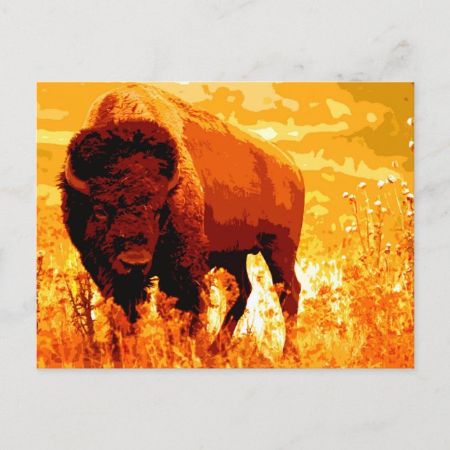 Bison / Buffalo Postcard (Front)