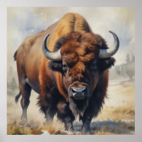 Bison / Buffalo