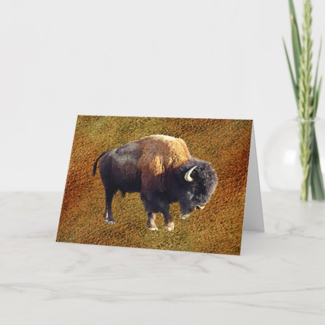 Bison Buffalo Wildlife Greeting Card (Front)