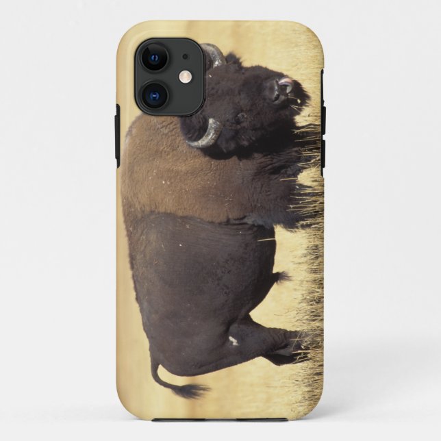 Bison Bull in Yellowstone National Case-Mate iPhone Case (Back)