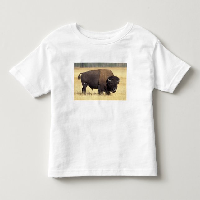 Bison Bull in Yellowstone National Toddler T-shirt (Front)