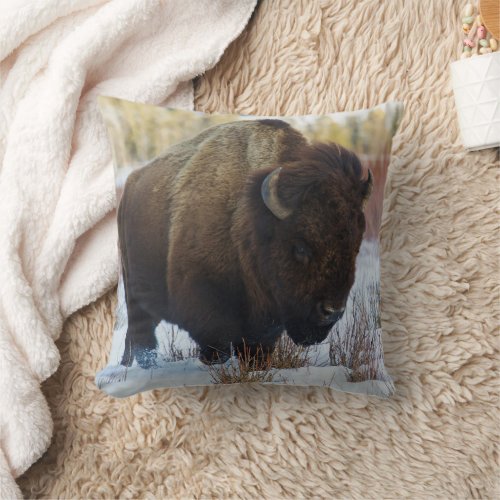 Bison Bull  Late Winter Throw Pillow