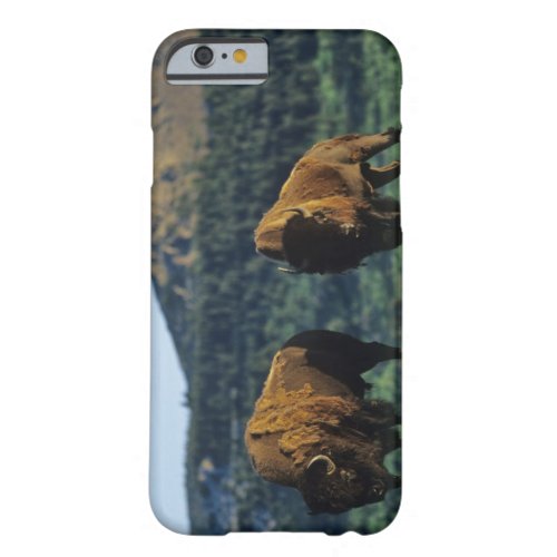 Bison bulls at Waterton Lakes National Park in Barely There iPhone 6 Case