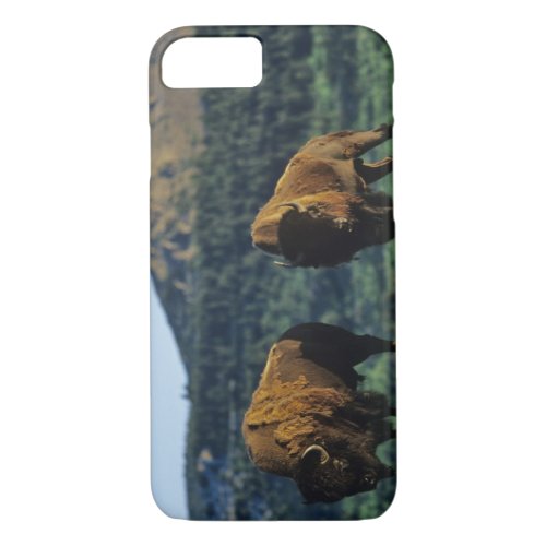 Bison bulls at Waterton Lakes National Park in iPhone 87 Case