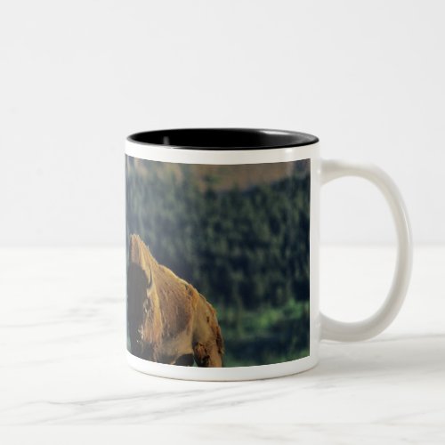 Bison bulls at Waterton Lakes National Park in Two_Tone Coffee Mug