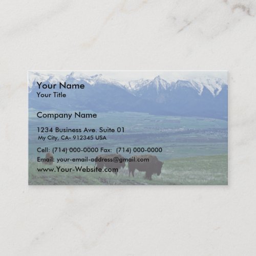 Bison Business Card Templates