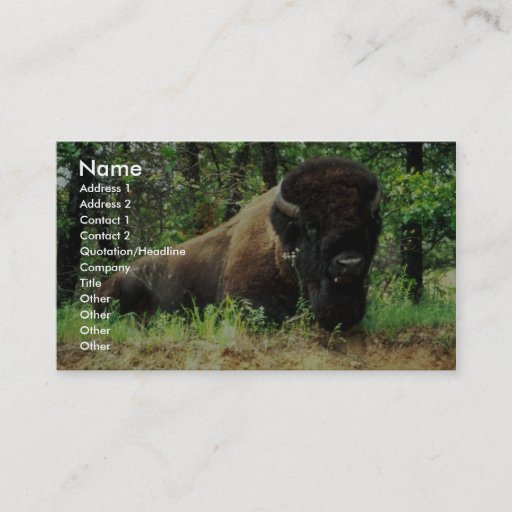 Customizable Bison Business Card Template