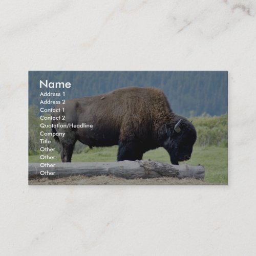 Bison Business Cards