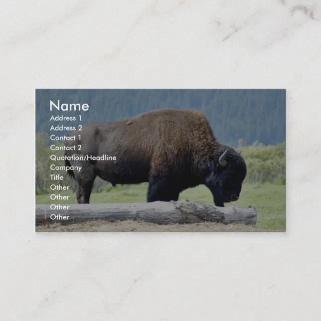 Bison Business Card | Zazzle