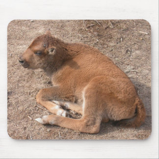 Bison Calf Mouse Pad