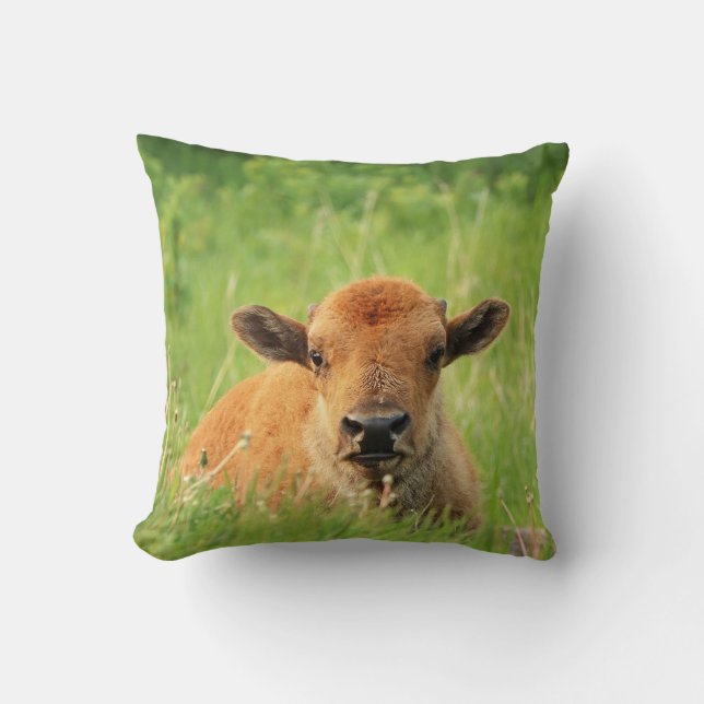 Bison Calf Throw Pillow (Front)