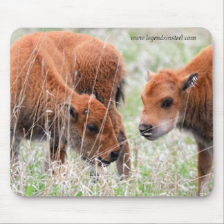 Bison Calves Mouse Pad