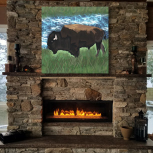 Bison Canvas Print