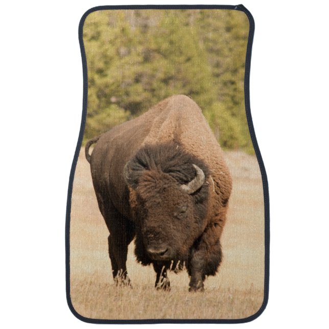 Bison Car Mat (Front)
