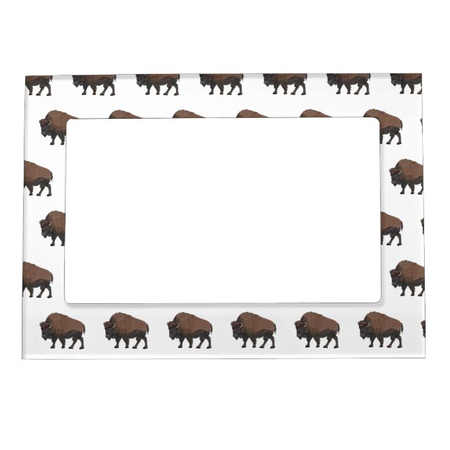 Bison cartoon illustration magnetic frame (Front)