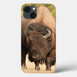 Bison iPhone 13 Case