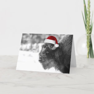 Bison Claus Holiday Card