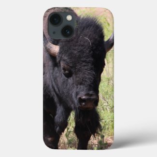 Bison Close Up iPhone Cases