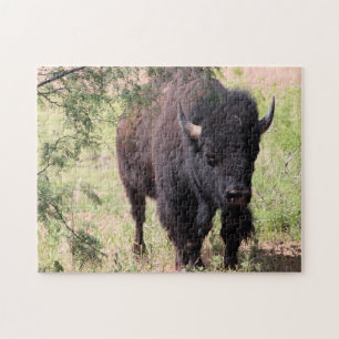 Bison Close Up Jigsaw Puzzle