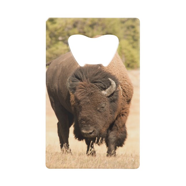Bison Credit Card Bottle Opener (Front)