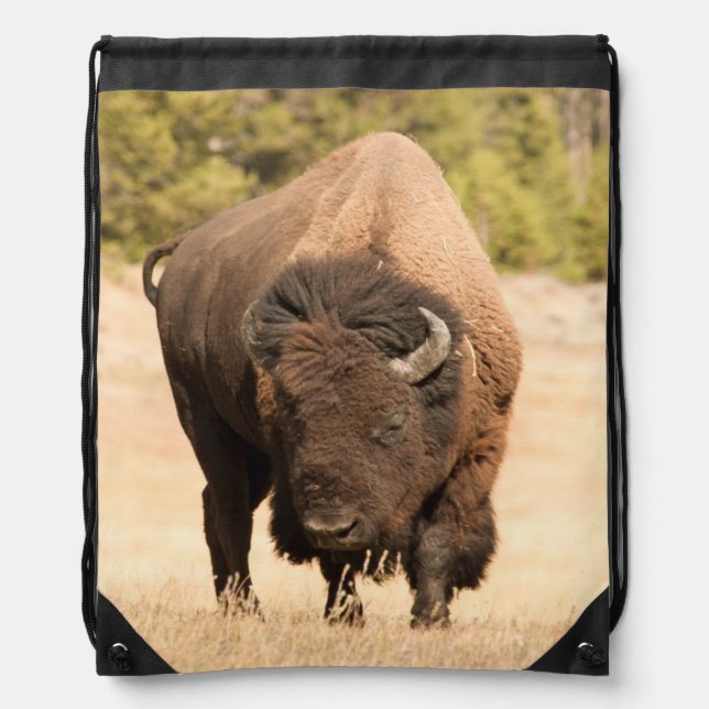 Bison Drawstring Bag (Front)
