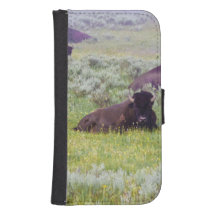 Bison Dreams Phone Wallet