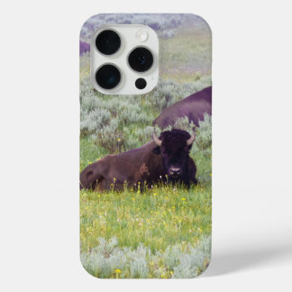 Bison Dreams Phone Wallet iPhone 15 Pro Case