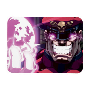 Bison Energy Ball Magnet