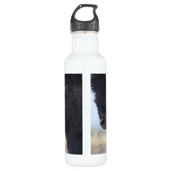 Bison Face Water Bottle by WorldDesign at Zazzle