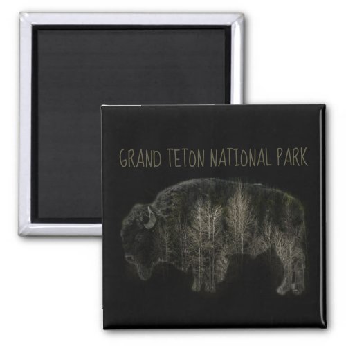 Bison Forest Grand Teton National Park Magnet
