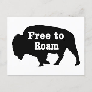 Bison Free To Roam Postcard
