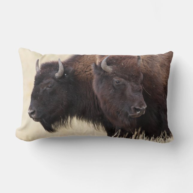 bison friendship lumbar pillow (Front)