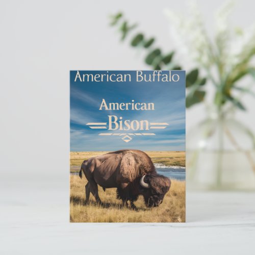 Bison Grazing by the River Postcard