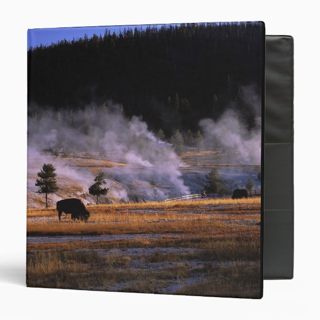 Bison grazing in the Upper Geyser Basin Binder (Front/Inside)
