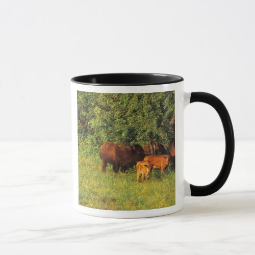 Bison Herd at Neil Smith NWR in Iowa Mug