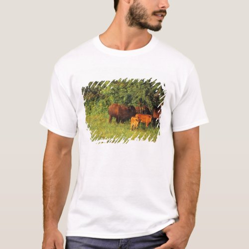 Bison Herd at Neil Smith NWR in Iowa T_Shirt