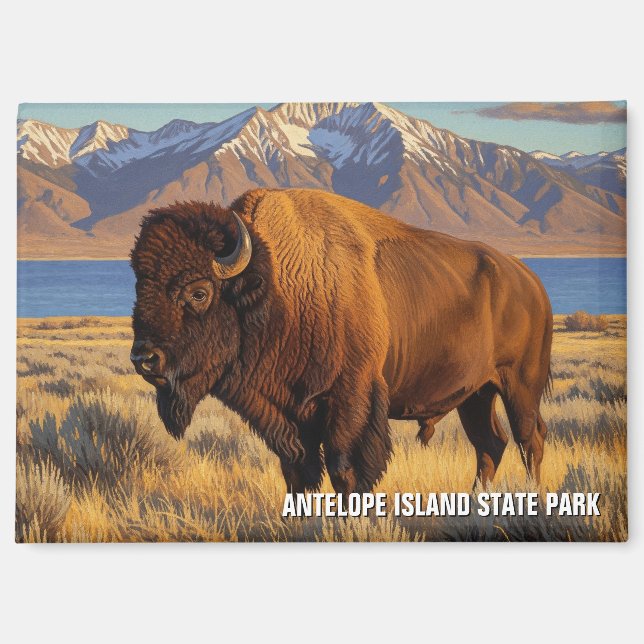 Bison in Antelope Island State Park Utah Magnet (Front)
