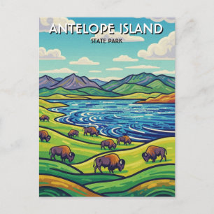 Bison in Antelope Island State Park Utah Postcard