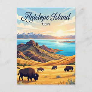 Bison in Antelope Island State Park Utah Postcard