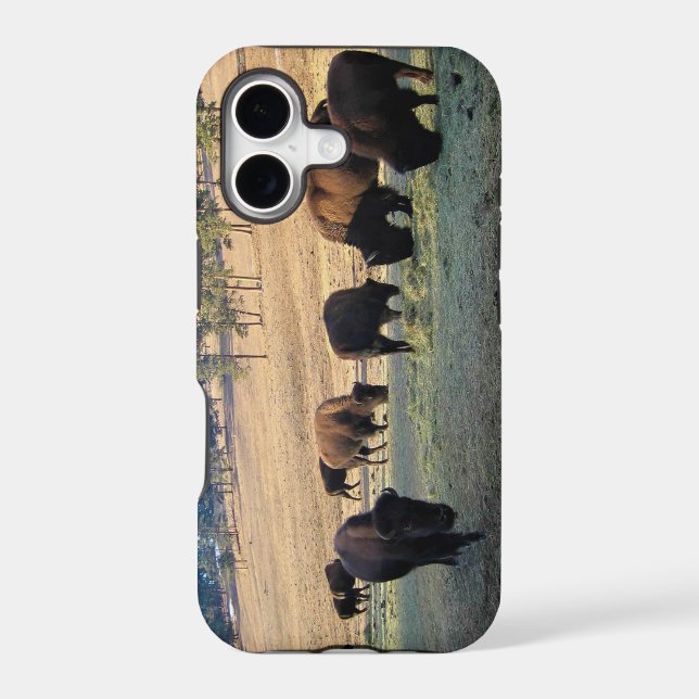 Bison in Colorado Iphone Case (Back)