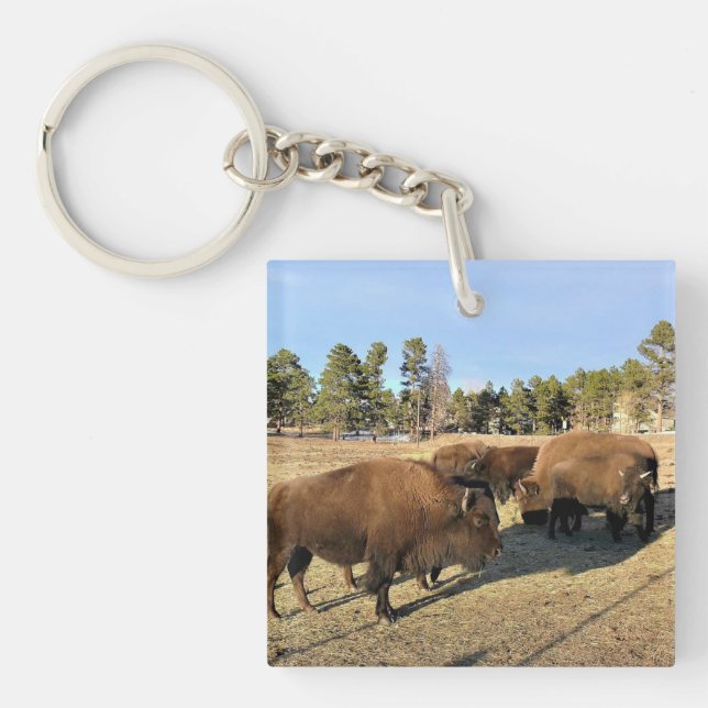 Bison in Colorado Keychain (Front)