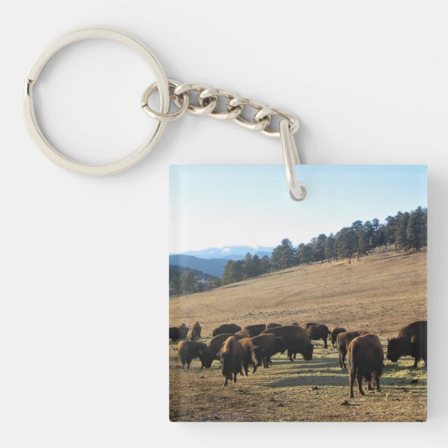 Bison in Colorado Keychain (Front)