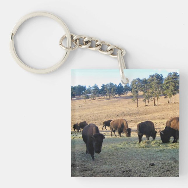 Bison in Colorado Keychain (Front)