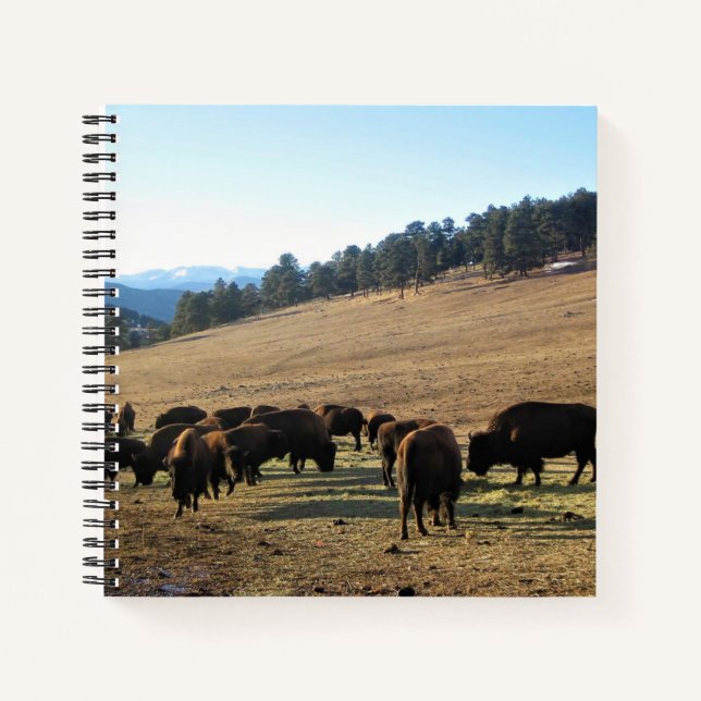 Bison in Colorado Notebook (Front)